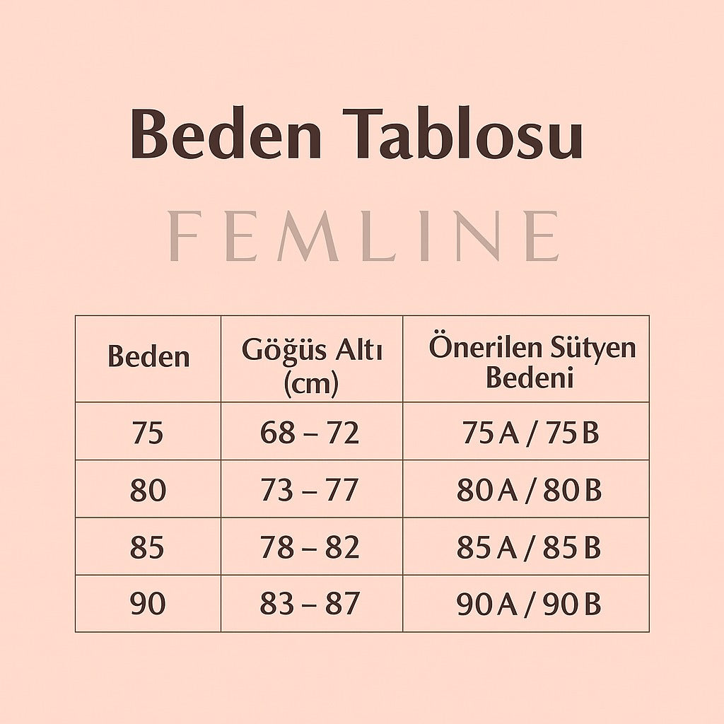 016- Ten Rengi- Yapışkanlı Silikon Asansör Sütyen - Push Up - Klipsli - Görünmez Dikleştirici