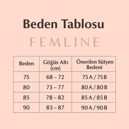 016- Ten Rengi- Yapışkanlı Silikon Asansör Sütyen - Push Up - Klipsli - Görünmez Dikleştirici